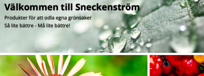 Länk Sneckenström