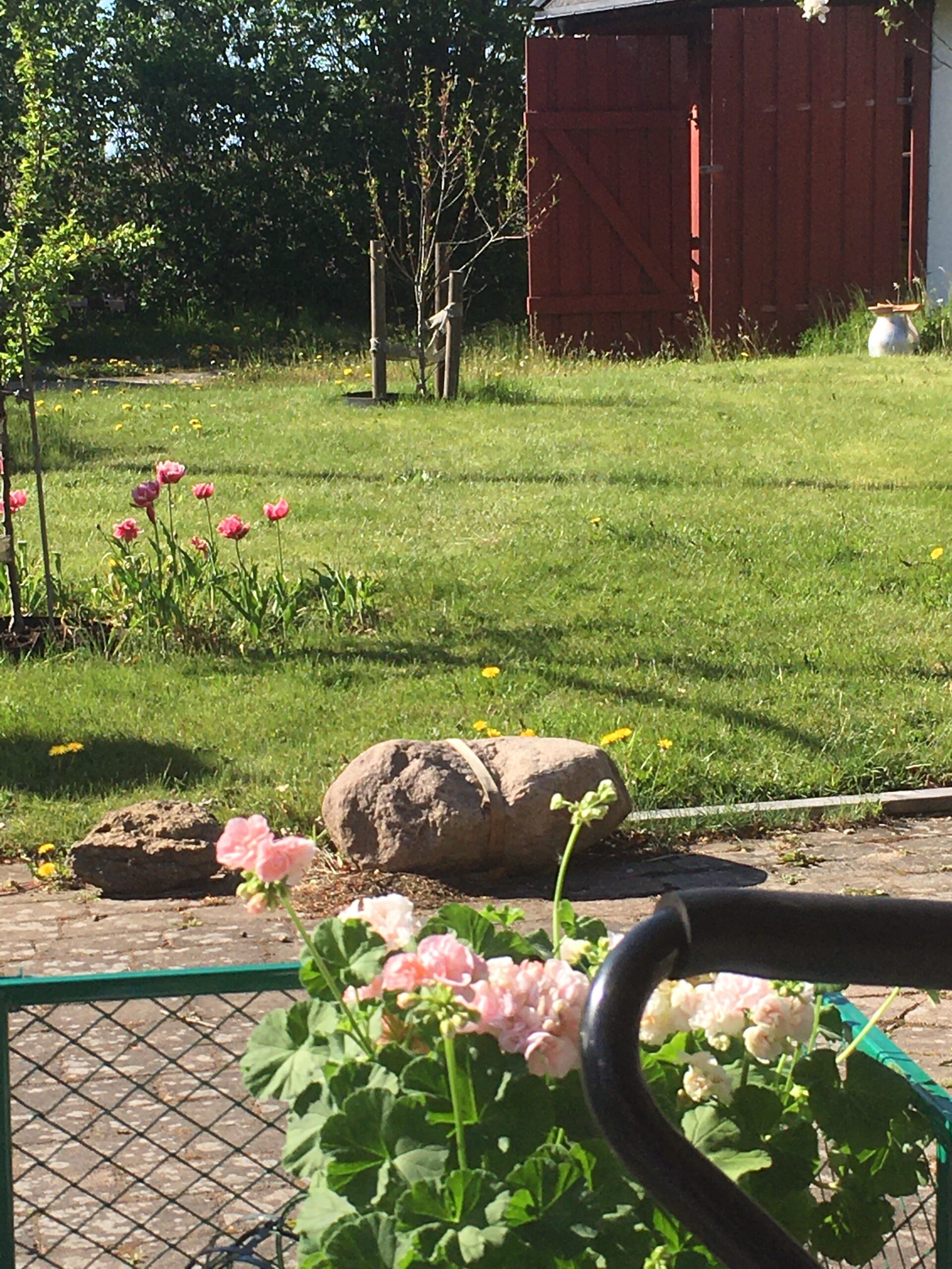 Lite innergårdvy