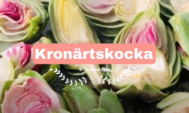 Nina skolar om Kronärtskockor