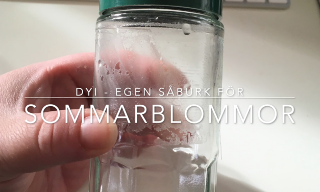 DIY – Såburk